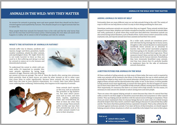 Download and use Animal Ethics’s leaflets and factsheets